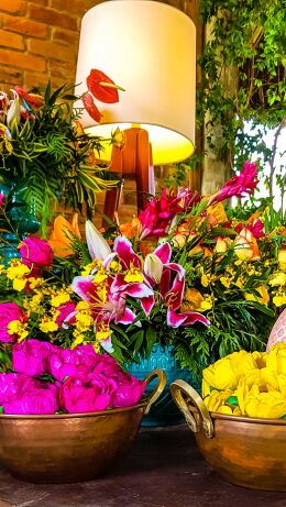 Festa de 15 Anos - Letícia 36 Festa de 15 Anos