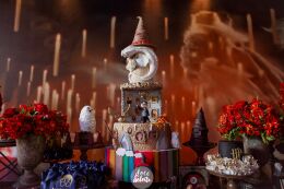 Festa Harry Potter 64 Festa Harry Potter Slytherin