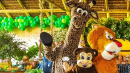 Festa Safari - Davi - 1 Ano 92 Festa Safari