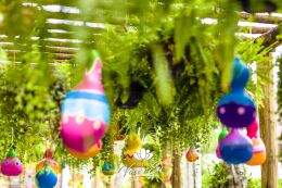 Festa Trolls - Clara - 3 Anos 41 Festa Trolls