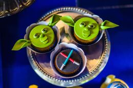 Festa Star Wars Baby - Fábio - 1 Ano 34 Festa Star Wars