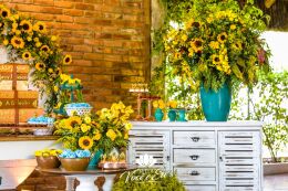 Festa de 15 Anos - Júlia 40 Festa de 15 Anos