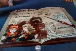 Festa Harry Potter 36 Festa Harry Potter Slytherin