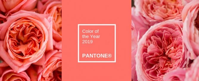 Vai casar em 2019? Conheça Aqui a Tendência de Cor para o Ano. 7 Living Color Pantone