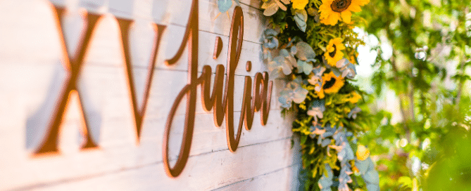 Festa de 15 Anos - Júlia 3