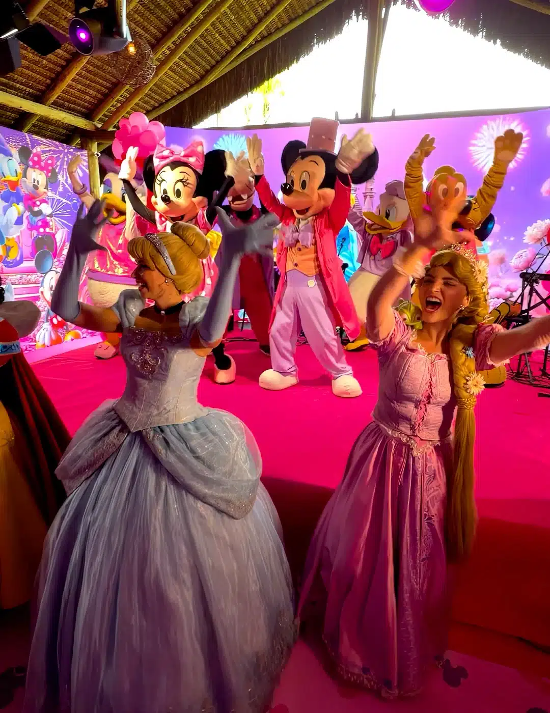 Festa Mundo Disney - Lourdes e Luísa